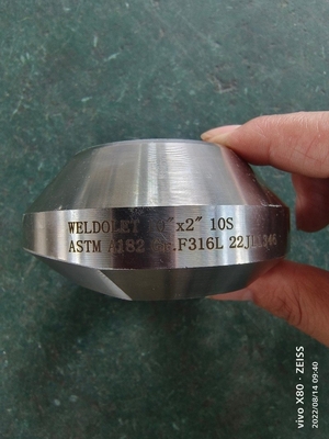 Stainless Steel Pipe Fittings Weldolet 10”X 2&quot; 10S ASTM A182 Gr. F316L Forged Fittings