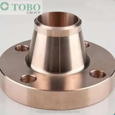 Copper Nickel Cuni Flanges C71500 (70/30) A105 Raised Face Weld Neck Flange