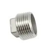 Stainless Steel Screwed Pipe Fittings Threaded Pipe Fittings Square head plug,150PSI, SS304 SS316