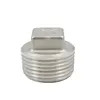 Stainless Steel Screwed Pipe Fittings Threaded Pipe Fittings Square head plug,150PSI, SS304 SS316