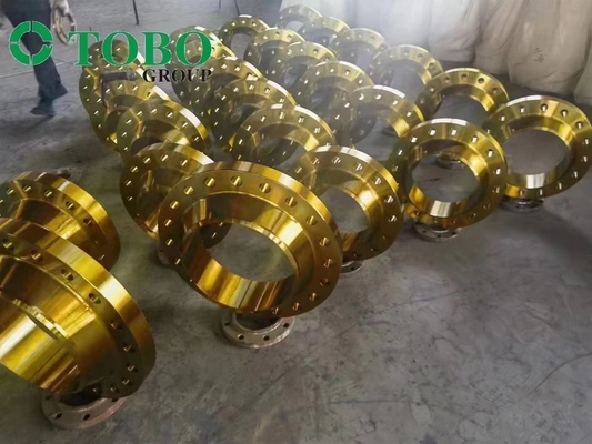 TOBO A105 WN  RF/ BL RF FLANGE COATING AS YOU CUSTOMIZED