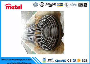 Duplex Stain Steel U Tube Steel U Fin Tube A/SA213 TP304/304L In SCH 40