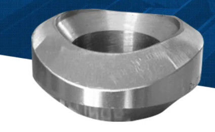 ASTM A105 S-STD BW Weldolet Forged Carbon Steel Pipe Branch Fitting