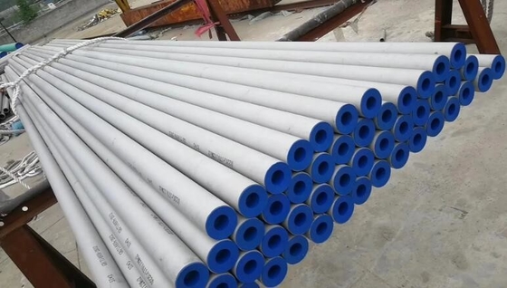 Pipe Diam:10" ,Sch: S-40S , B36.19M ,Ends: BE ,ASTM A312 - SMLS Gr. TP316