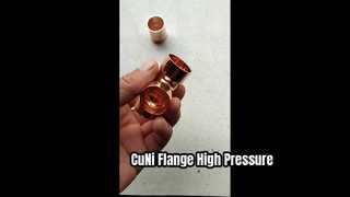 CuNi 90/10 Flange Weld Neck EEMUA 145