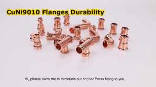 CuNi9010 Flanges Forged Steel RF Welding