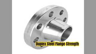 Duplex Steel Flange ASTM A182 F51 F60 ASME B16.5