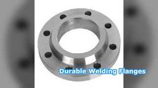 Welding Neck Flanges SS304 SS316 PN6