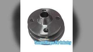 10 Inch CL 1500 BL WN Flanges for Industry